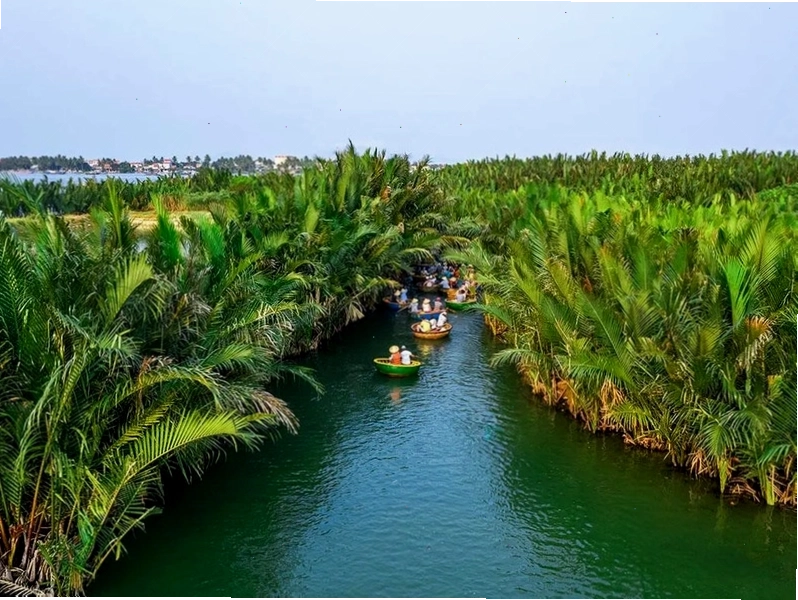 Hình ảnh những chiếc thuyền thúng len lỏi trong rừng dừa