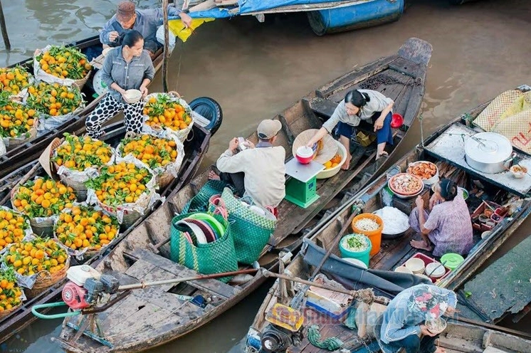 Hình ảnh quê hương miền Tây sông nước vẻ đẹp mộc mạc lay động lòng người