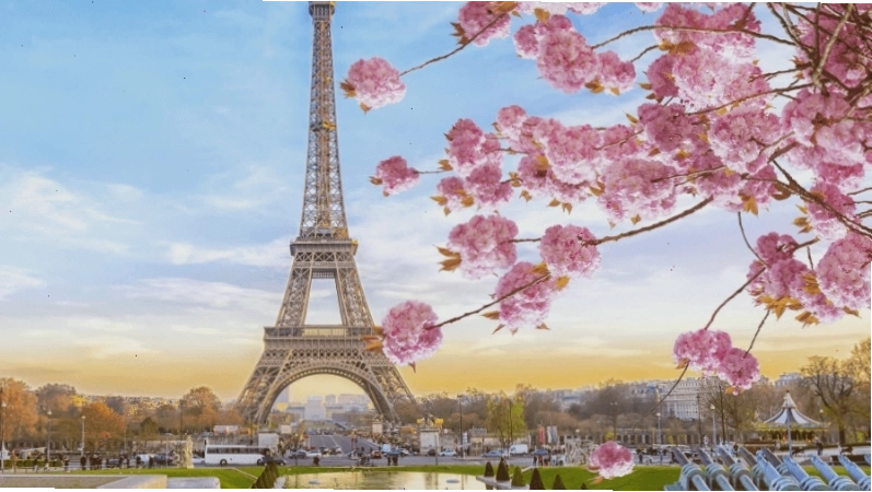Hình ảnh Tháp Eiffel rực rỡ trong mùa xuân