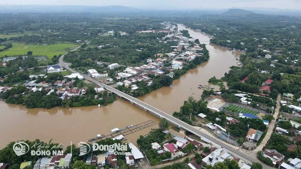 hình ảnh về sông đồng nai