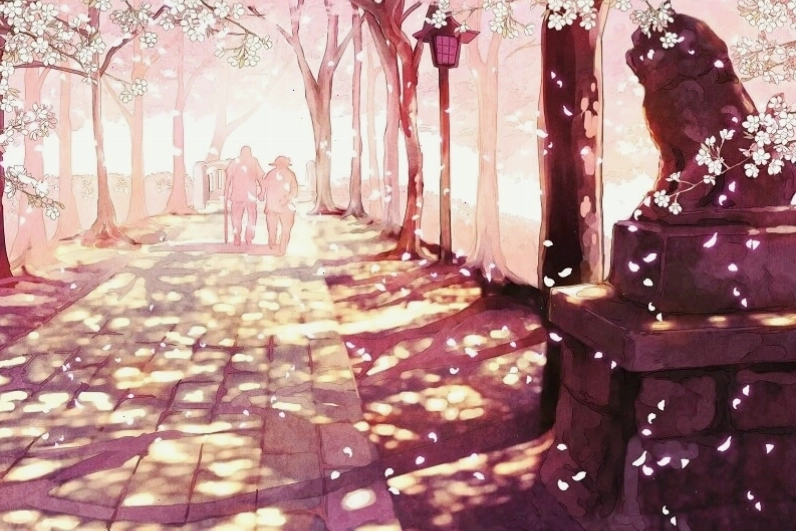Hình nền hoa anh đào tinh tế