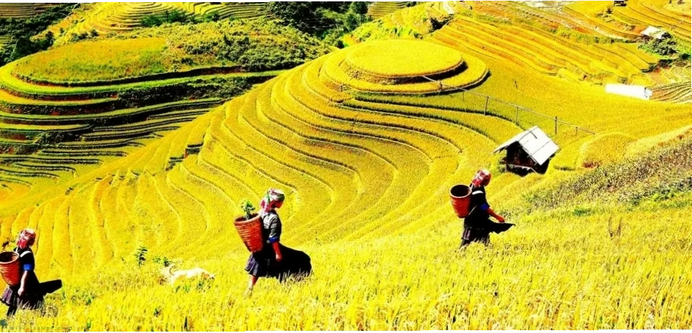 Hồ Chóp Dù mộng mơ với mặt nước phẳng lặng