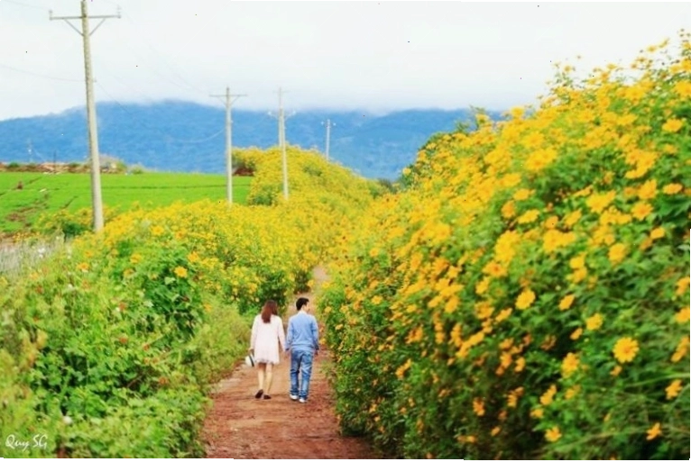 Hồ Lắk thơ mộng tại Đắk Lắk