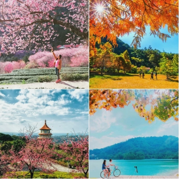 Hồ Nhật Nguyệt mùa thu với cảnh sắc vàng rực rỡ