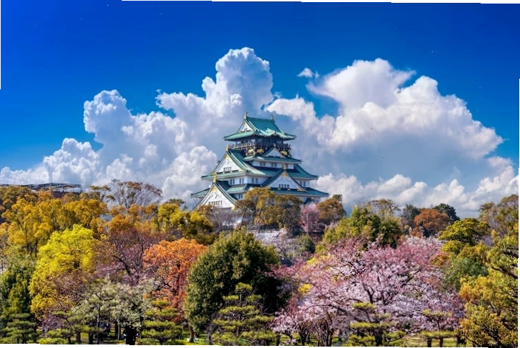 Hoa anh đào nở rộ bên cạnh lâu đài Osaka