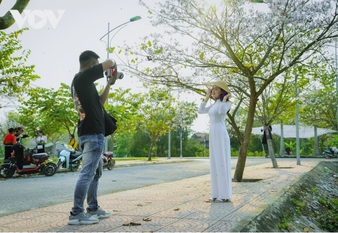 Hoa ban trắng tinh khôi trên cành cây