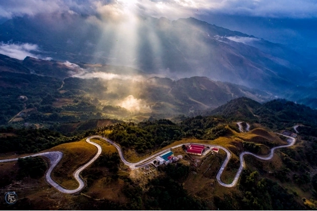 Hoa cẩm tú cầu nở rộ tại Mẫu Sơn vào mùa hè