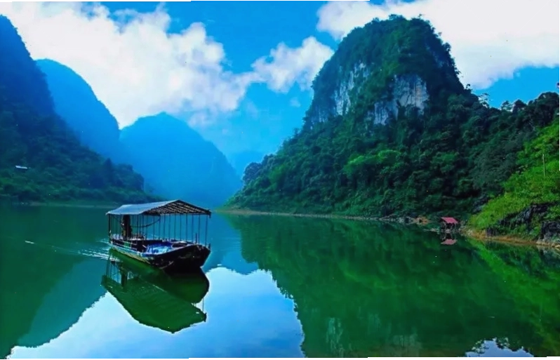 Hoa dã quỳ nở rộ vào mùa đông