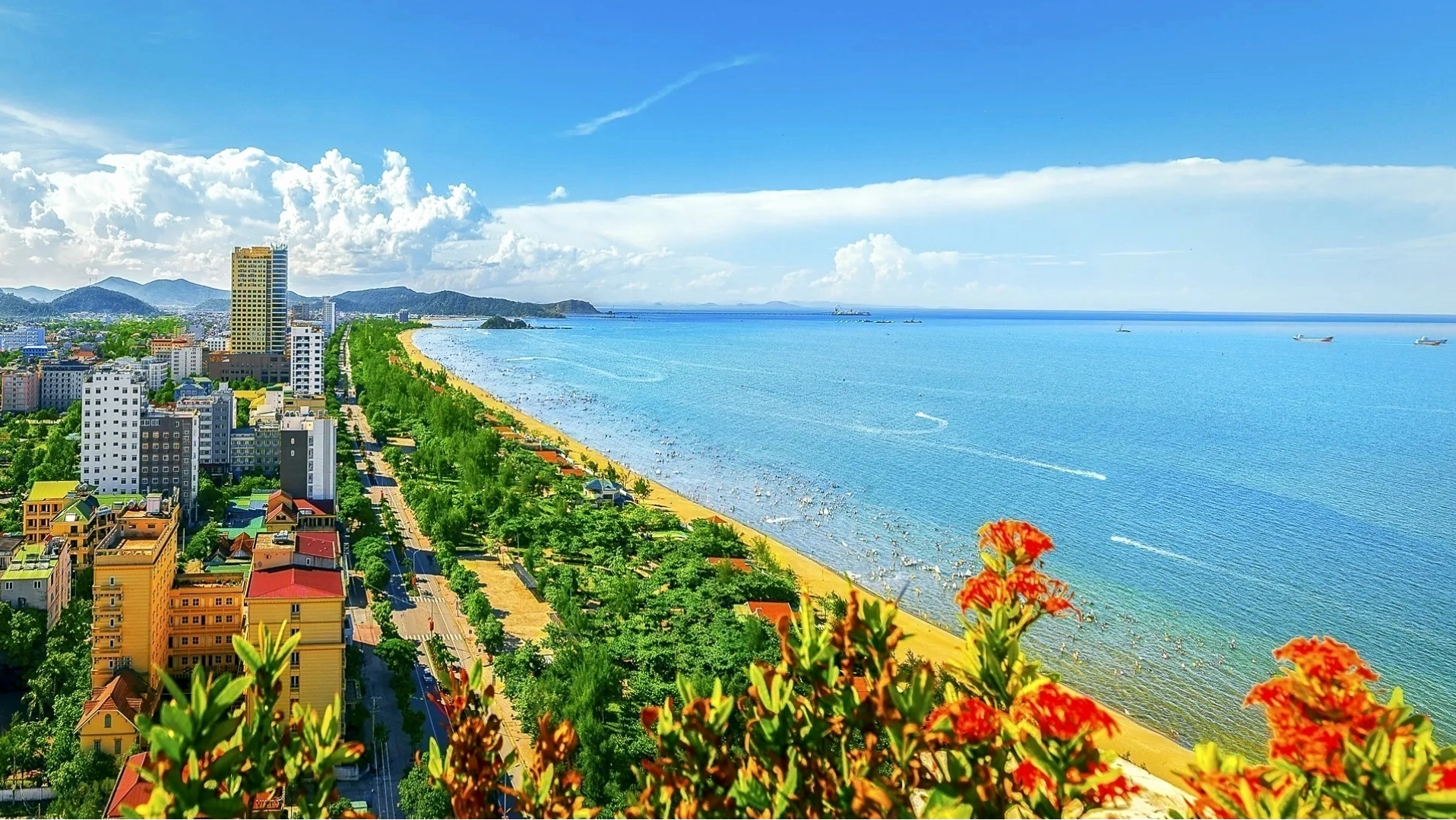 Hoa gạo nở đỏ rực một góc trời tại Anh Sơn, Nghệ An