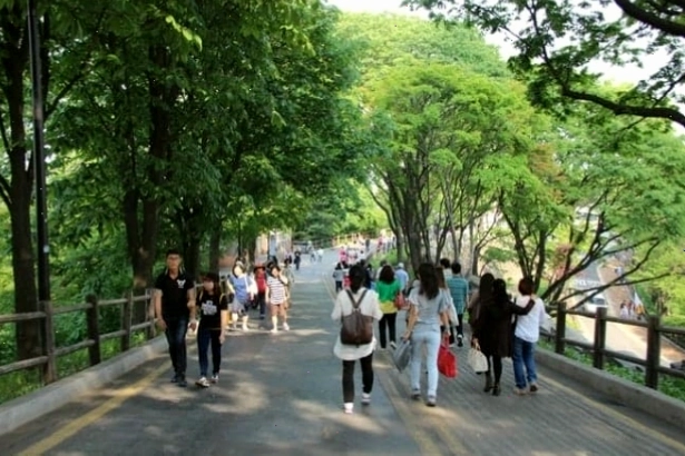 Hoa mơ nở rộ tại làng Gwangyang vào mùa xuân