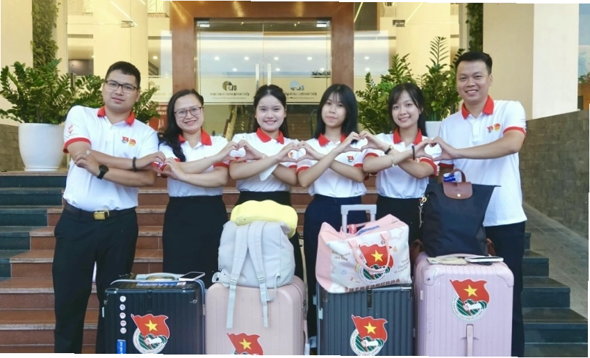 Hoa tam giác mạch nở rộ trên cao nguyên đá Hà Giang