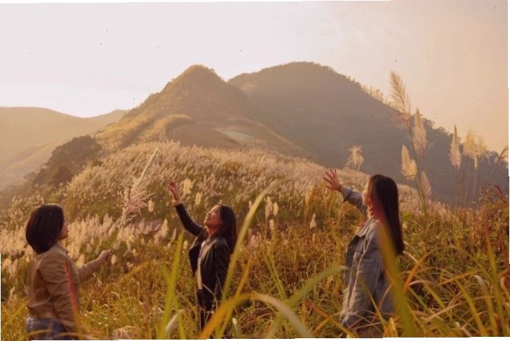 Hoàng hôn thơ mộng trên Đồi Bù mùa cỏ lau