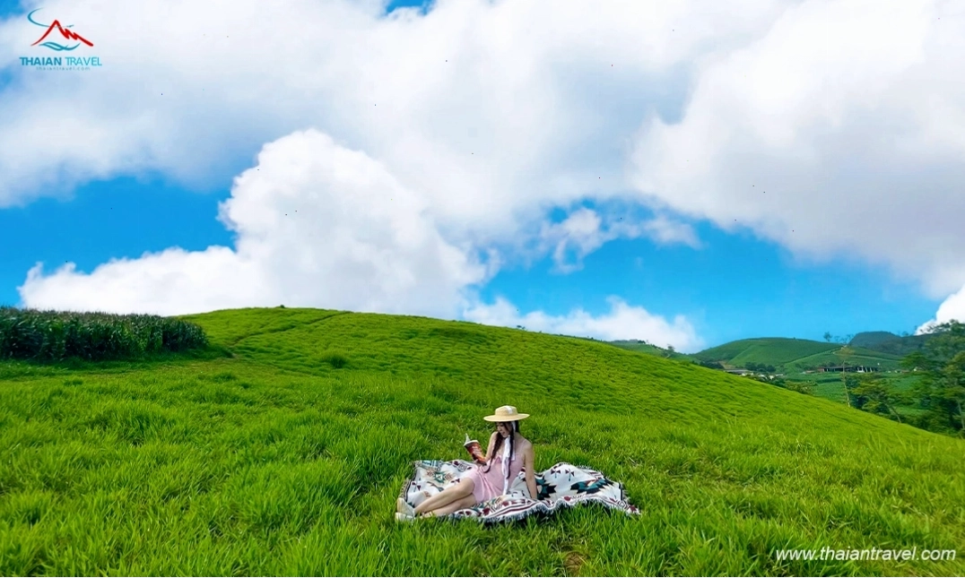 Hoàng hôn trên Đồng cỏ Mộc Châu