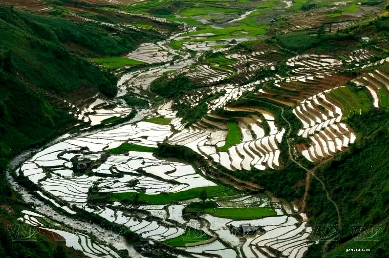 Hoàng hôn trên ruộng bậc thang Mù Cang Chải