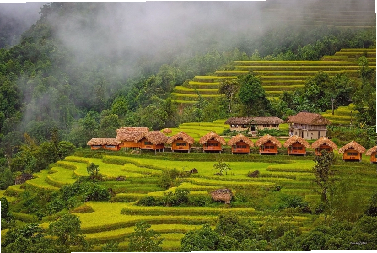 Hoàng Su Phi Lodge - Nơi nghỉ dưỡng lý tưởng giữa thiên nhiên Hà Giang