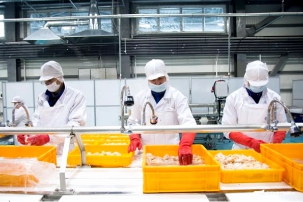 Hoạt động chế biến thủy sản tại tỉnh Tottori