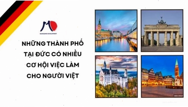 Hoạt động cộng đồng của người Việt tại Nhật Bản.