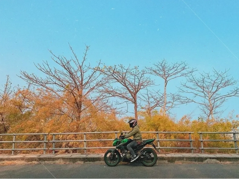 Hoạt động đánh bắt cá của ngư dân làng chài Phước Hải