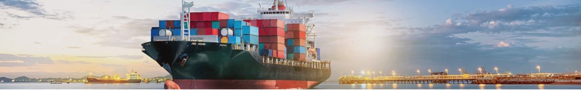 Hoạt động kiểm tra container tại Depot