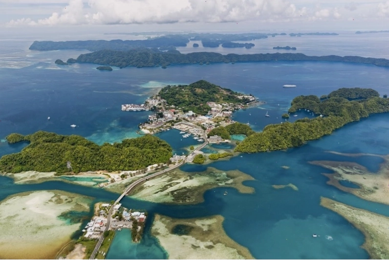 Hoạt động lặn biển ngắm san hô và các sinh vật biển đầy màu sắc tại Palau