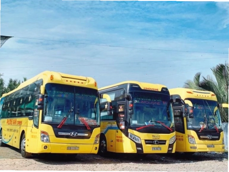 Hoạt động lặn ngắm san hô tại Vịnh Vĩnh Hy
