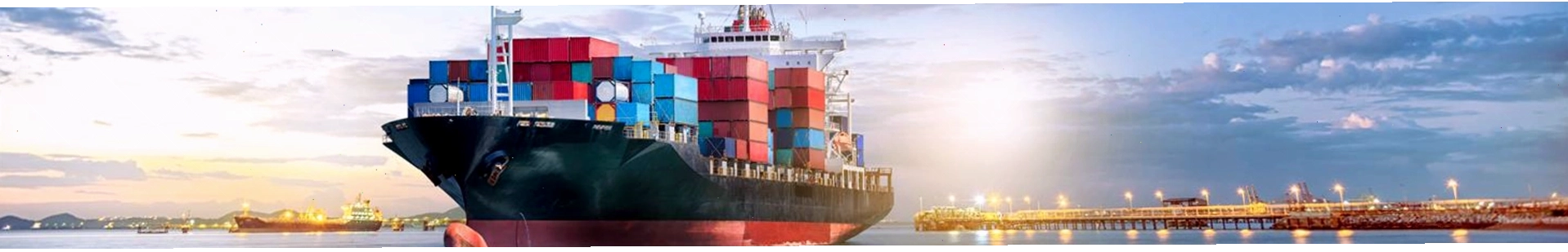 Hoạt động logistics tại cảng biển với sự tham gia của tàu Wan Hai Lines