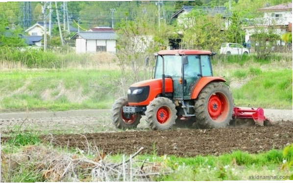 Hoạt động nông nghiệp tại tỉnh Tottori
