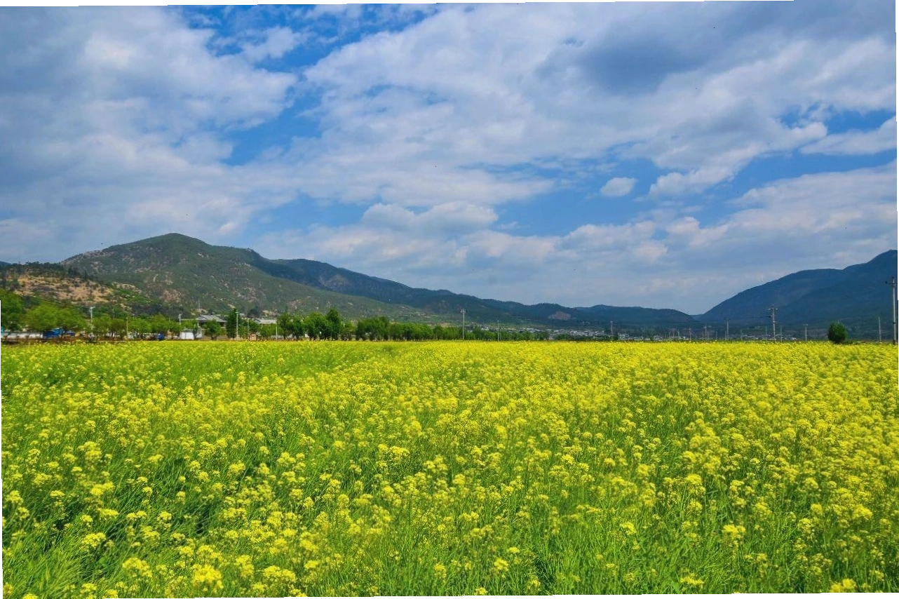 Hoạt động văn hóa tại Đại Lý, Vân Nam