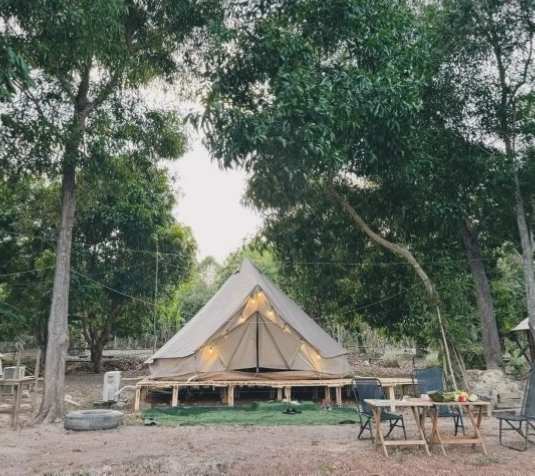 Hoạt động workshop tại Tán Gấu Camping