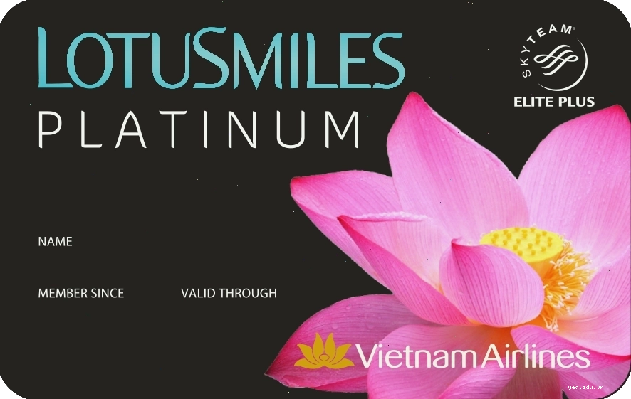 Hội viên hạng thẻ Bạch Kim Bông Sen Vàng Vietnam Airlines