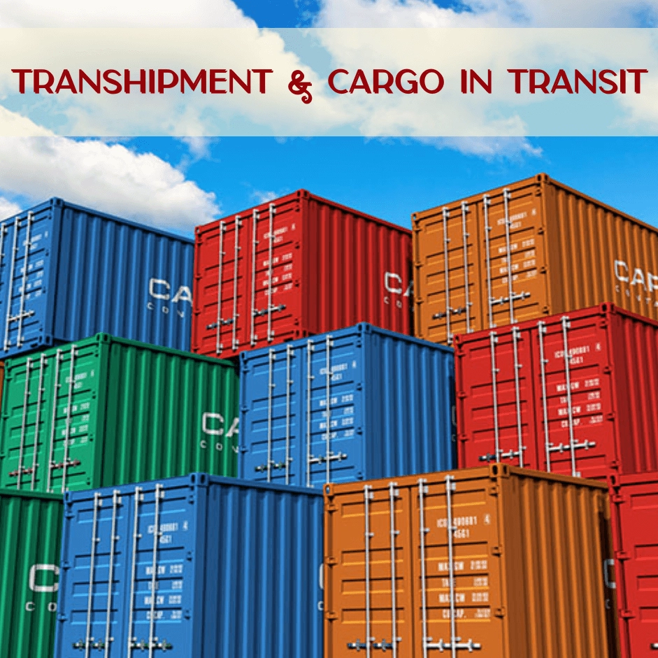 In Transit là gì? Hướng dẫn chi tiết về thuật ngữ vận chuyển quốc tế