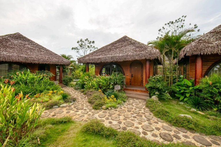Jacaranda Valley Ecofarm Ba Vì: Khám Phá Thiên Đường Nghỉ Dưỡng Xanh Mát