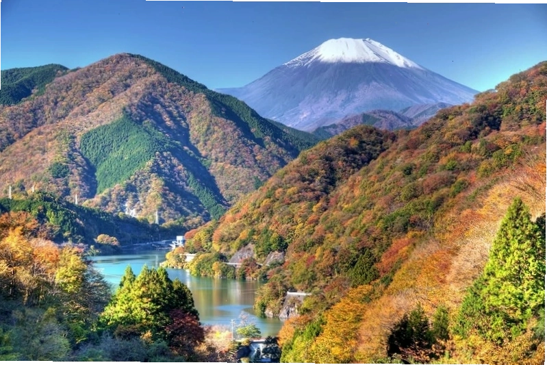 Kanagawa điểm cân bằng hoàn hảo giữa thiên nhiên và đô thị Nhật Bản