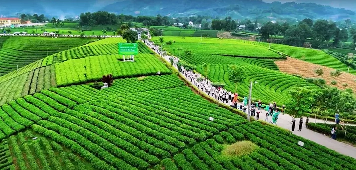 Khám phá 10+ Danh lam thắng cảnh Thái Nguyên đẹp nao lòng du khách