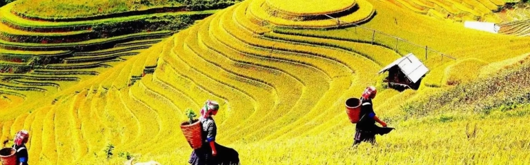 Khám phá 18 địa điểm du lịch Yên Bái tuyệt đẹp