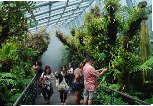 Khám phá các dịch vụ miễn phí tại Singapore