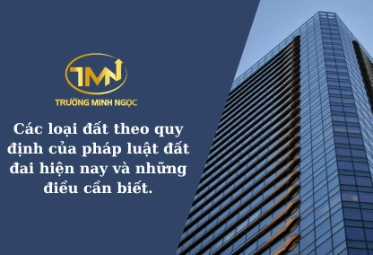 Khám phá các loại đất trên thế giới và mối liên hệ với thảm thực vật