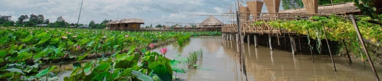 Khám Phá Cao Lãnh Đồng Tháp Có Gì Chơi: Điểm Hẹn Lý Tưởng Cho Kì Nghỉ
