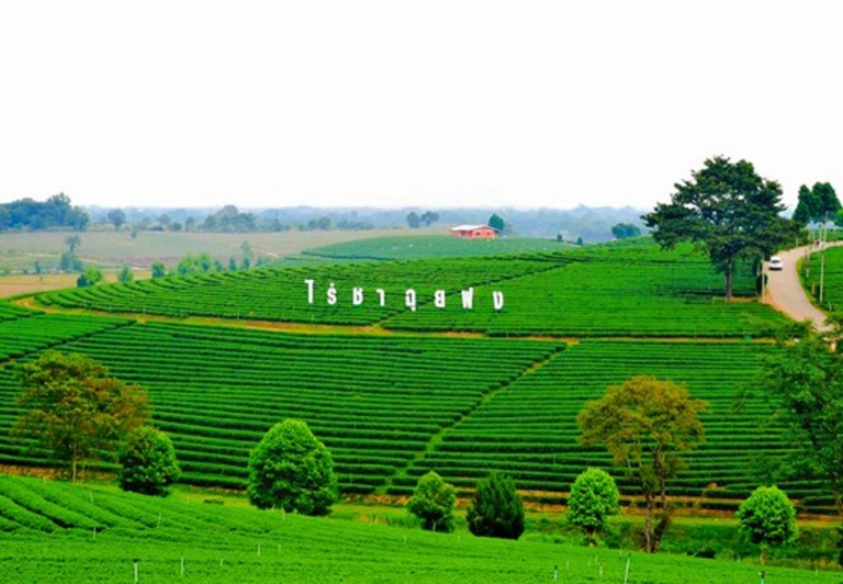 Khám phá Chiang Mai Thái Lan Đa Diện: Hành trình 4 ngày 3 đêm