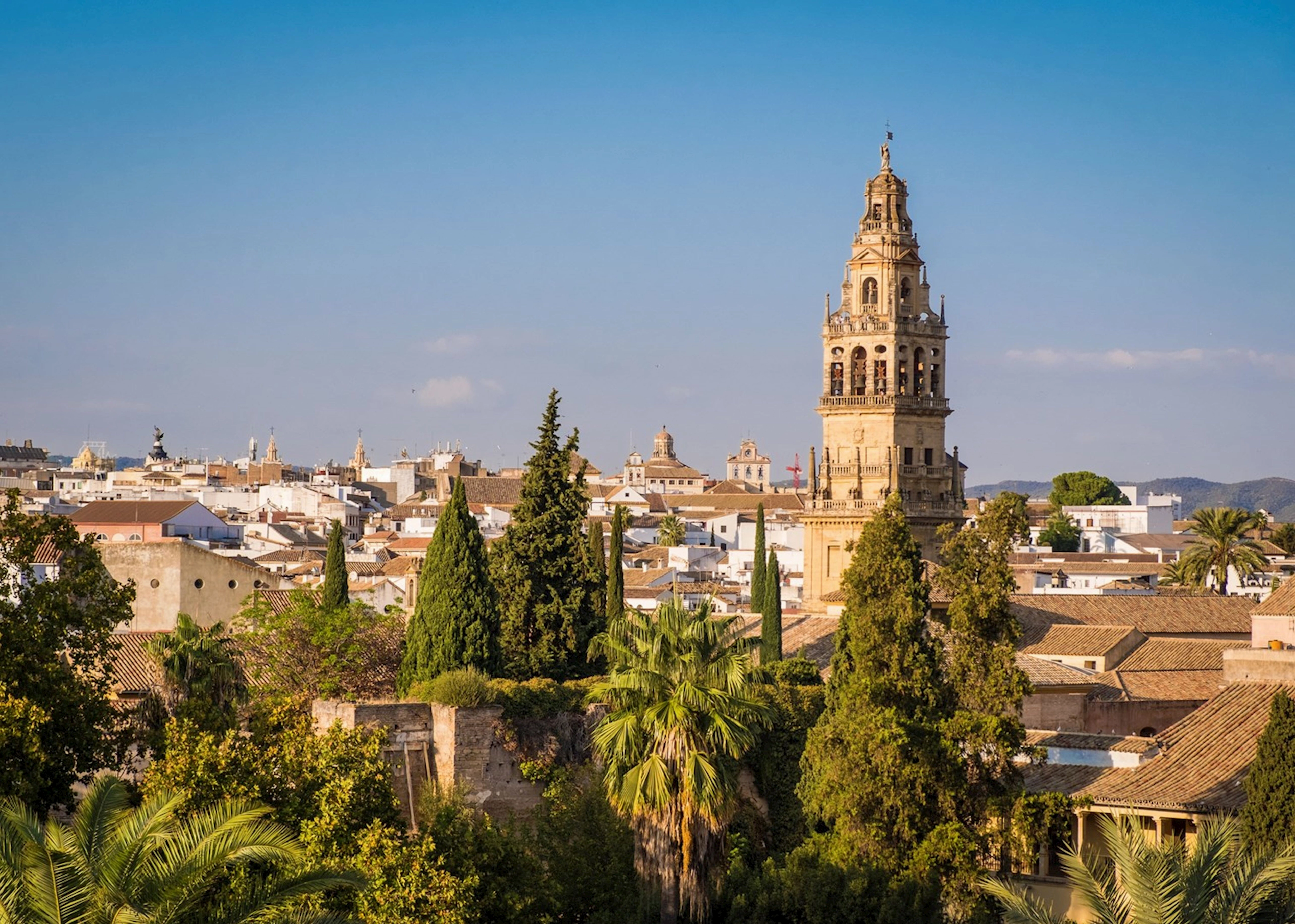 Khám phá Córdoba, Tây Ban Nha: Điểm đến không thể bỏ lỡ