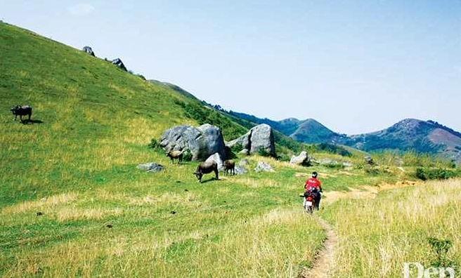 Khám Phá Đồng Cao Hiệp Hòa Bắc Giang Điểm Đến Lý Tưởng Cho Người Yêu Thiên Nhiên