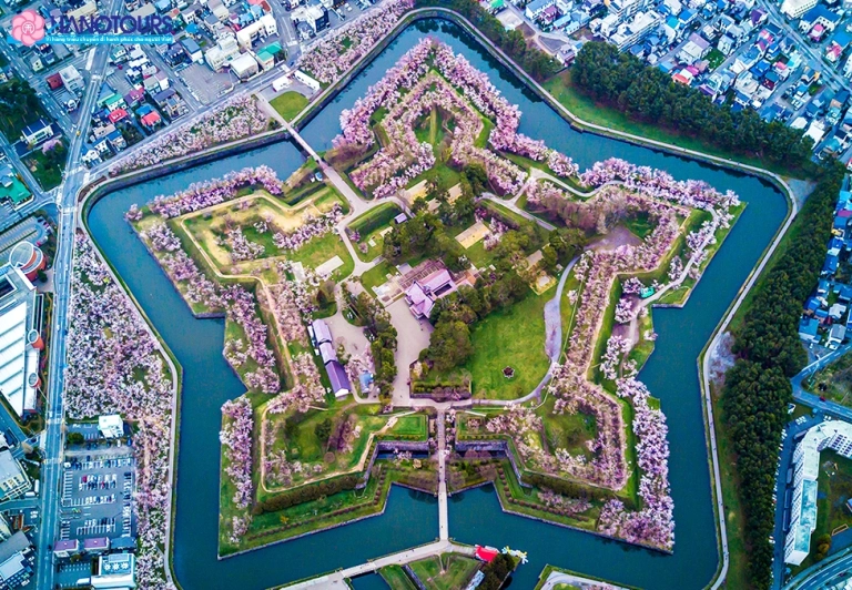 Khám phá Hokkaido Nhật Bản: Thiên đường bốn mùa dành cho tín đồ du lịch