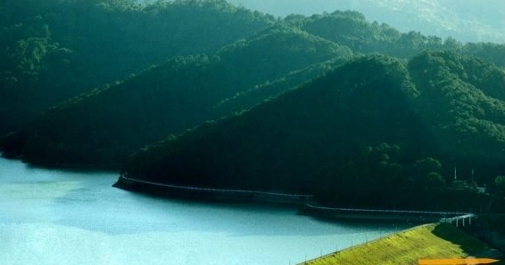 Khám Phá Huyện Đơn Dương Lâm Đồng: Vẻ Đẹp Thiên Nhiên và Tiềm Năng Phát Triển
