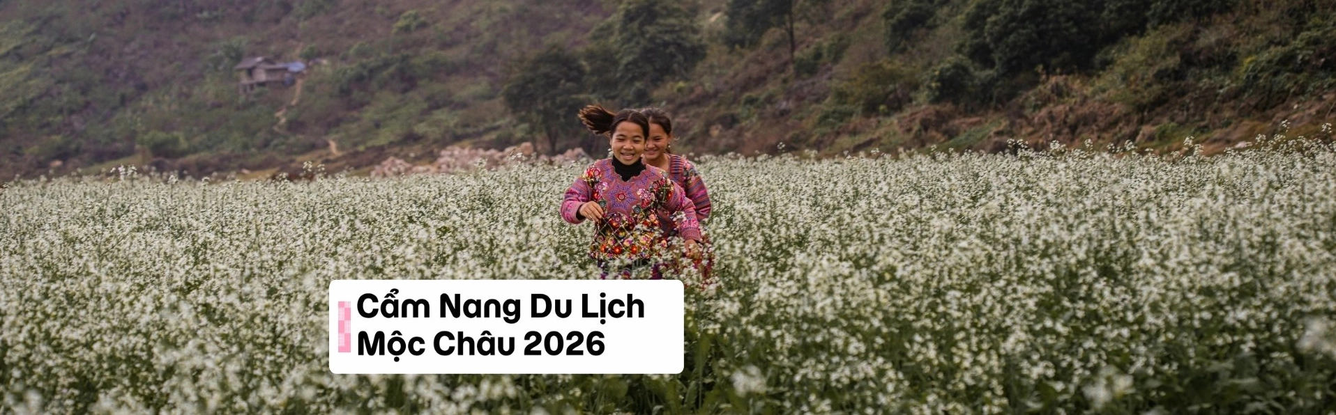 Khám phá Mộc Châu 2 ngày 1 đêm tự túc: Lịch trình chi tiết và kinh nghiệm