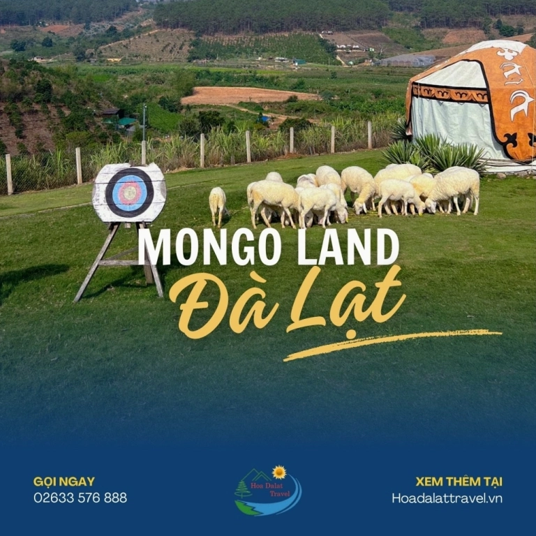 Khám Phá Mongo Land Đà Lạt: Thiên Đường Mông Cổ Giữa Rừng Thông