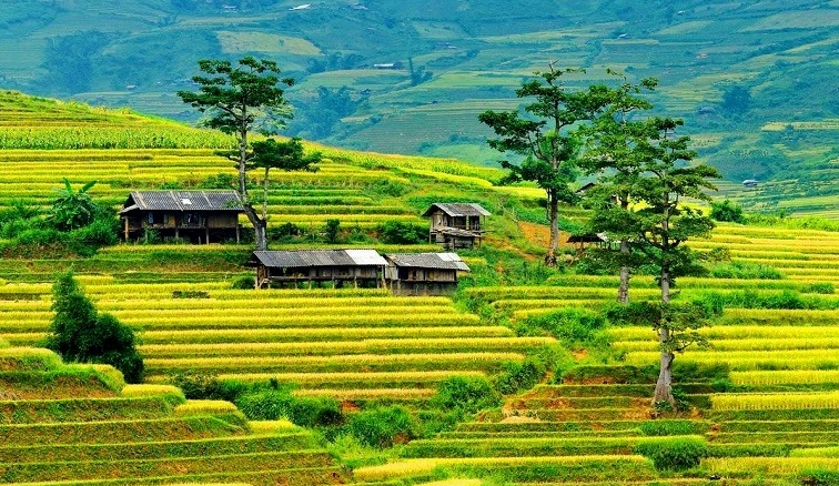 Khám phá Mù Cang Chải Tiềm năng Du lịch và Văn hóa Độc đáo