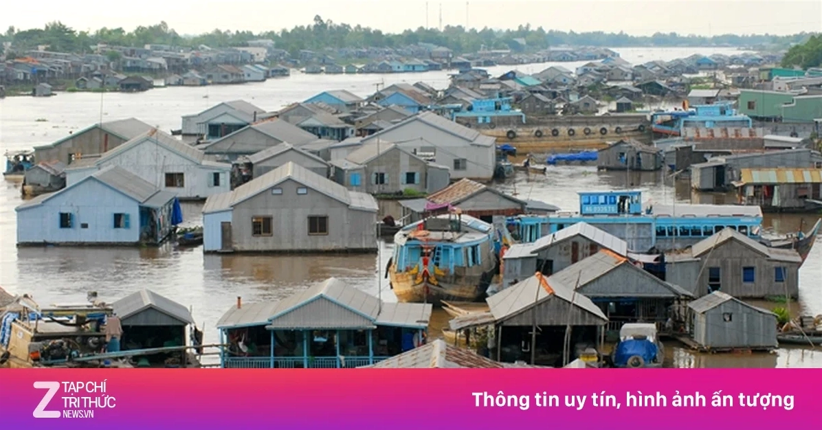 Khám Phá Nét Nhà Nổi Miền Tây: Kiến Trúc Sống Động Trên Sông Nước