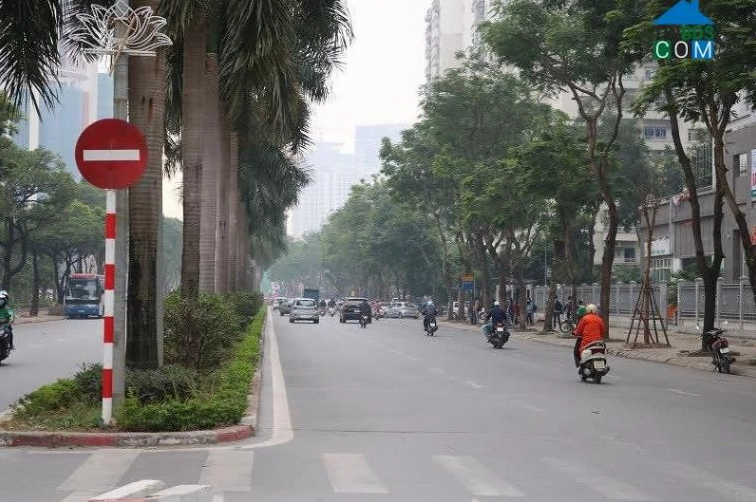 Khám phá Phố Hàm Nghi Mỹ Đình: Vị trí, Tiện ích và Giá trị Bất động sản 2026