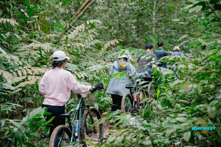 Khám phá Rừng Mã Đà Vĩnh Cửu Đồng Nai Di sản UNESCO
