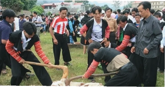 Khám phá Rừng thông Bản Áng Mộc Châu